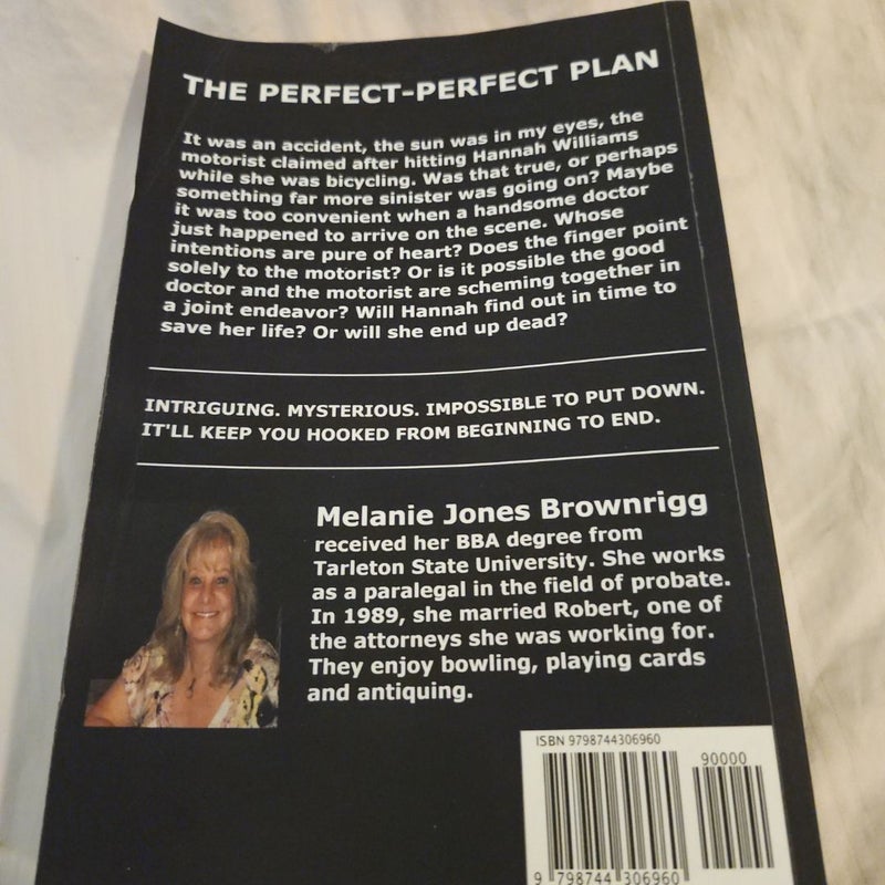 The Perfect-Perfect Plan (Self Published)