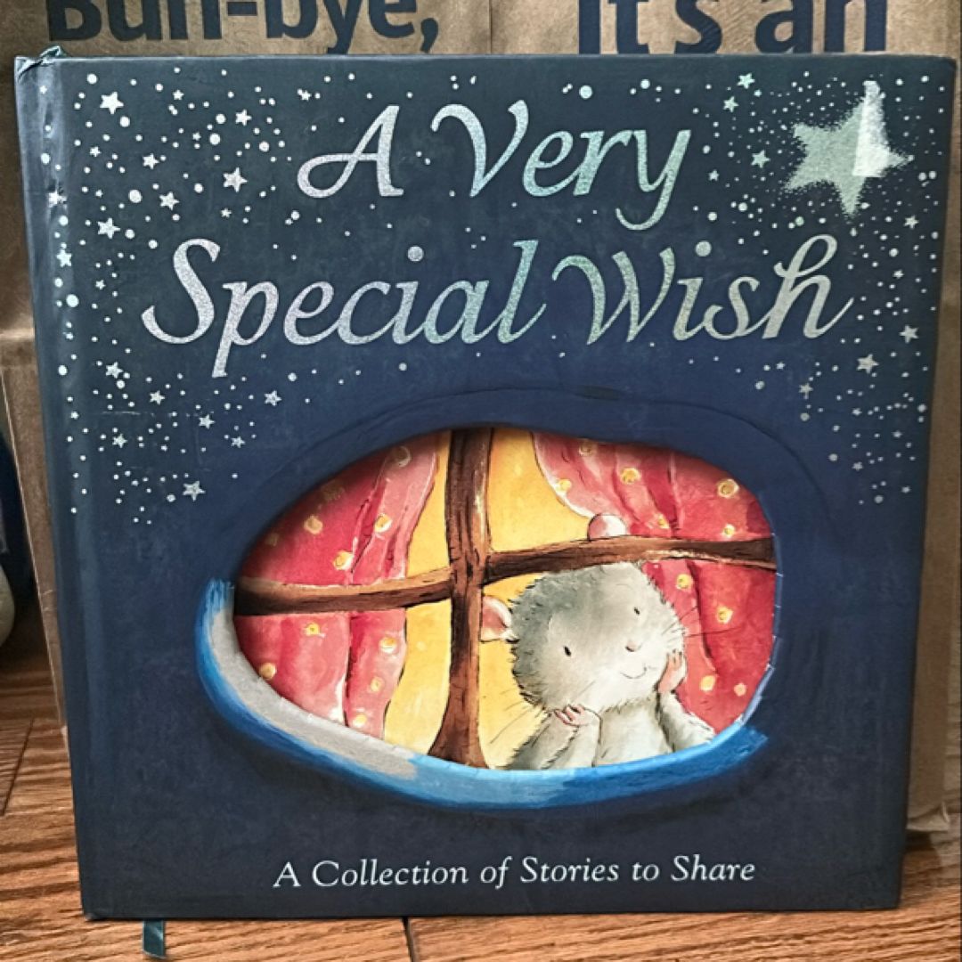 A Very Special Wish
