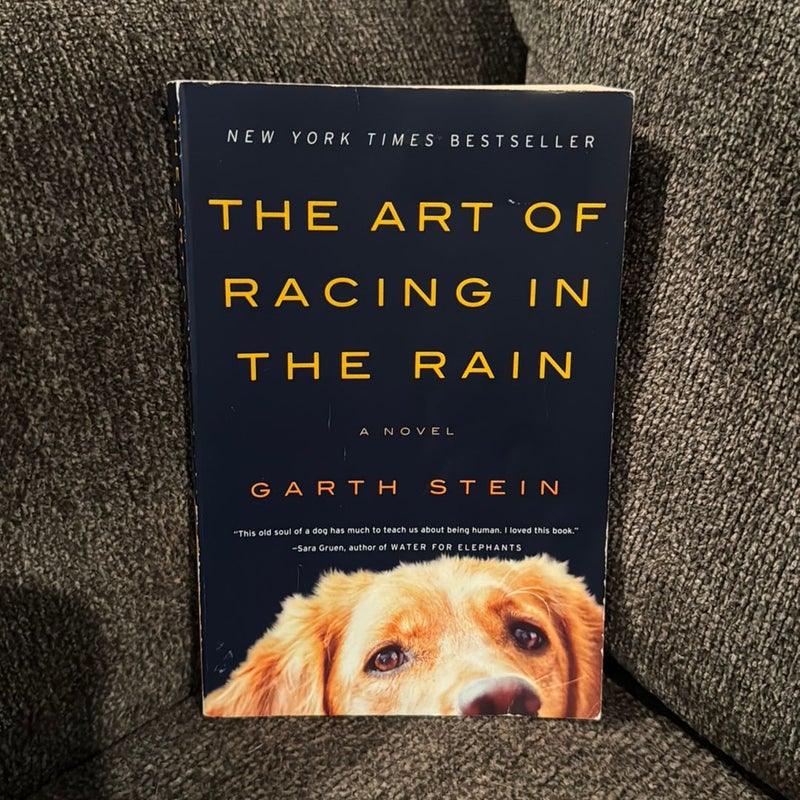 The Art of Racing in the Rain