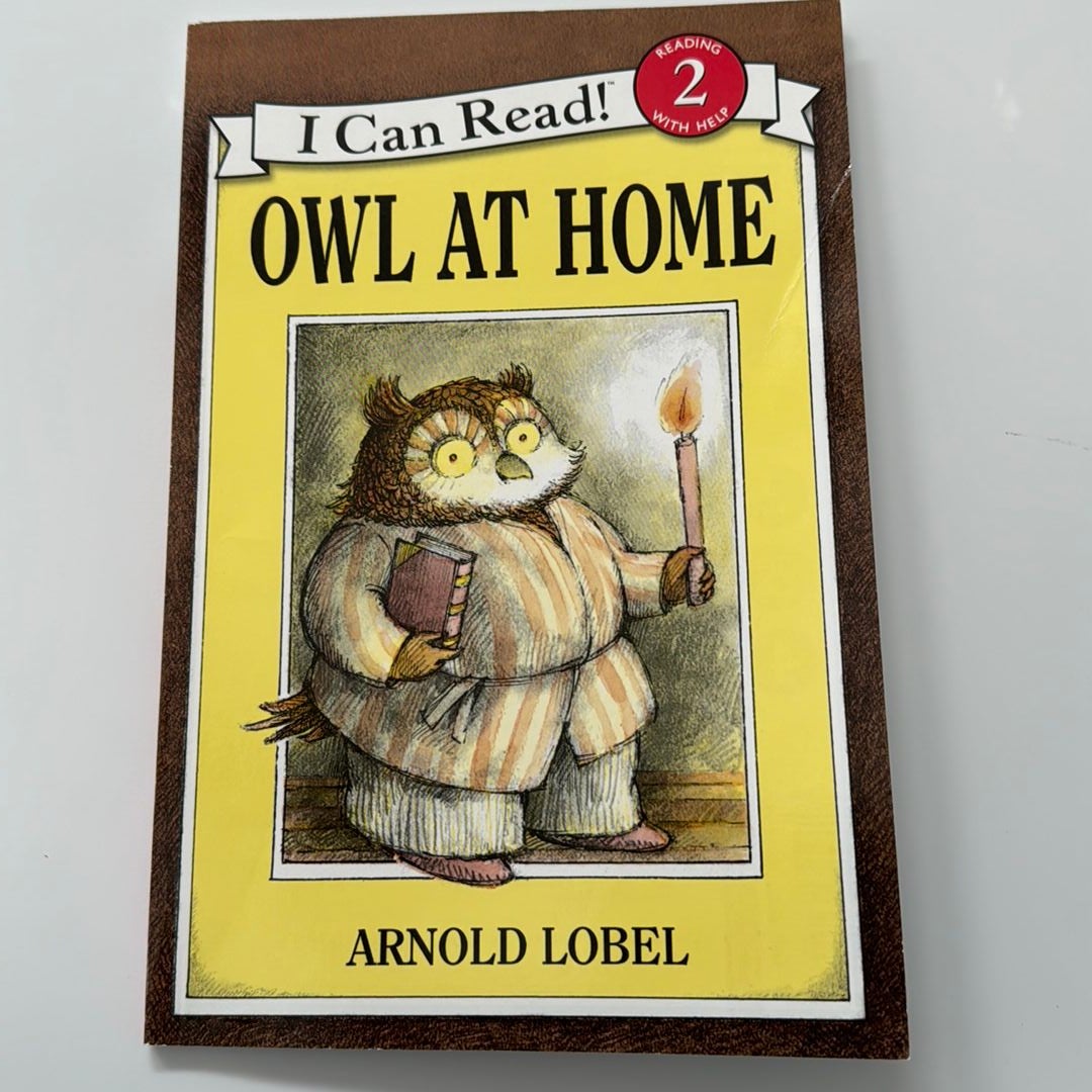 Owl at Home