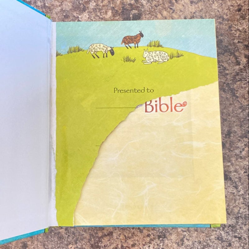 The Jesus Storybook Bible