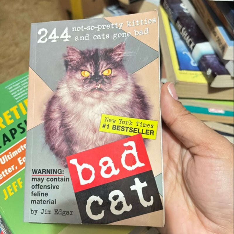 Bad Cat