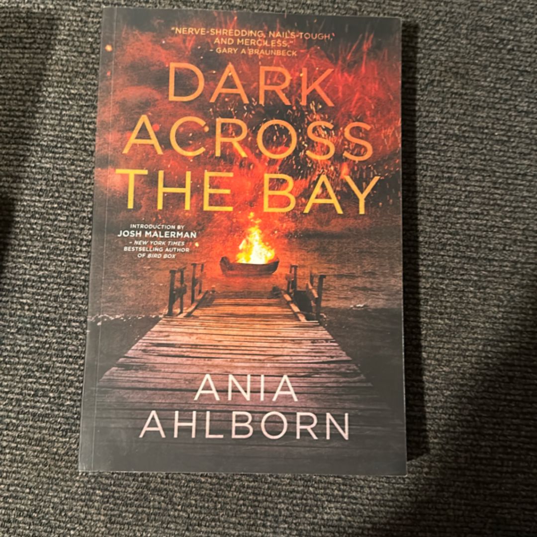 Dark Across the Bay
