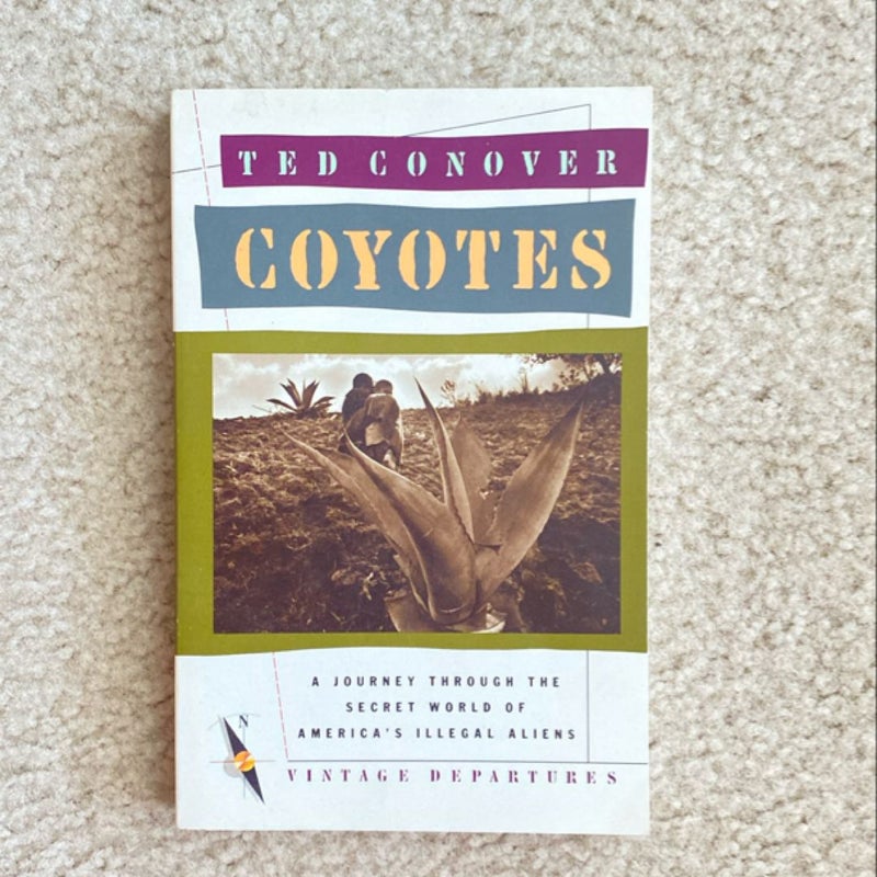 Coyotes