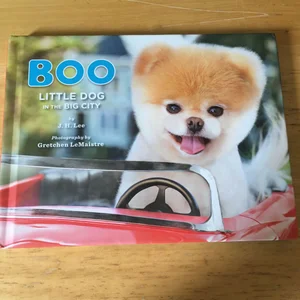 Boo: Little Dog in the Big City