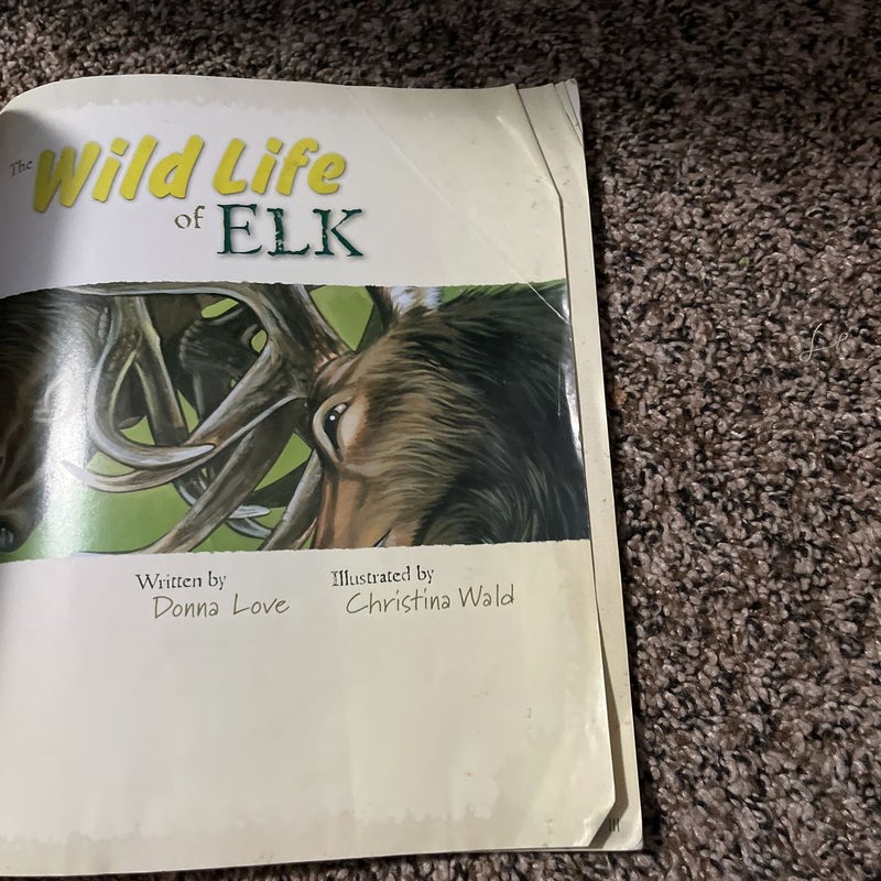 The Wild Life of Elk