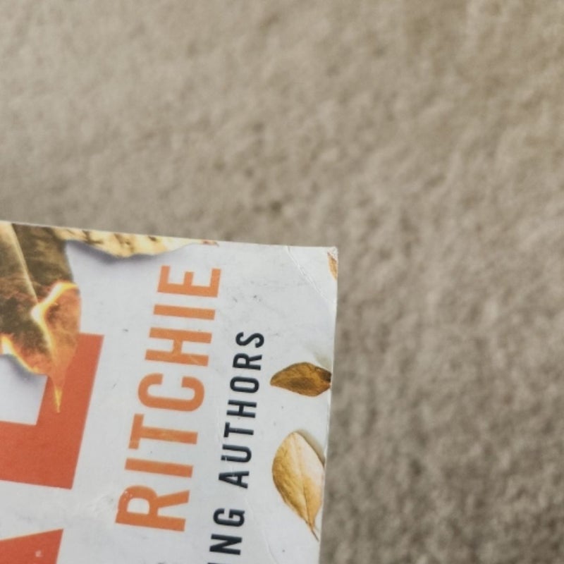 Fuel the Fire by Krista Ritchie, Paperback Pangobooks