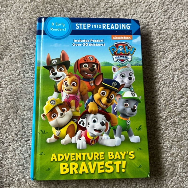 Adventure Bay’s Bravest 