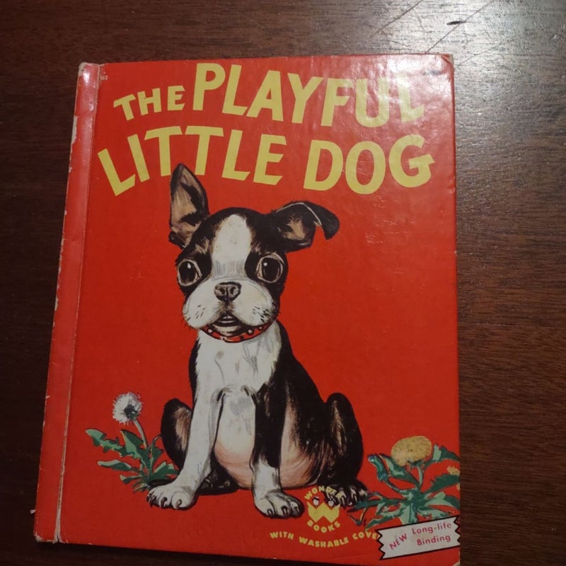 The Playful Little Dog