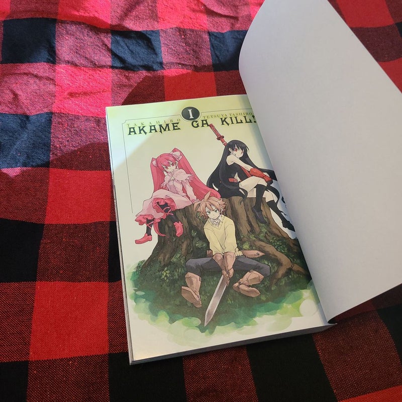 Akame Ga KILL!, Vol. 1 by Takahiro; Tetsuya Tashiro, Paperback