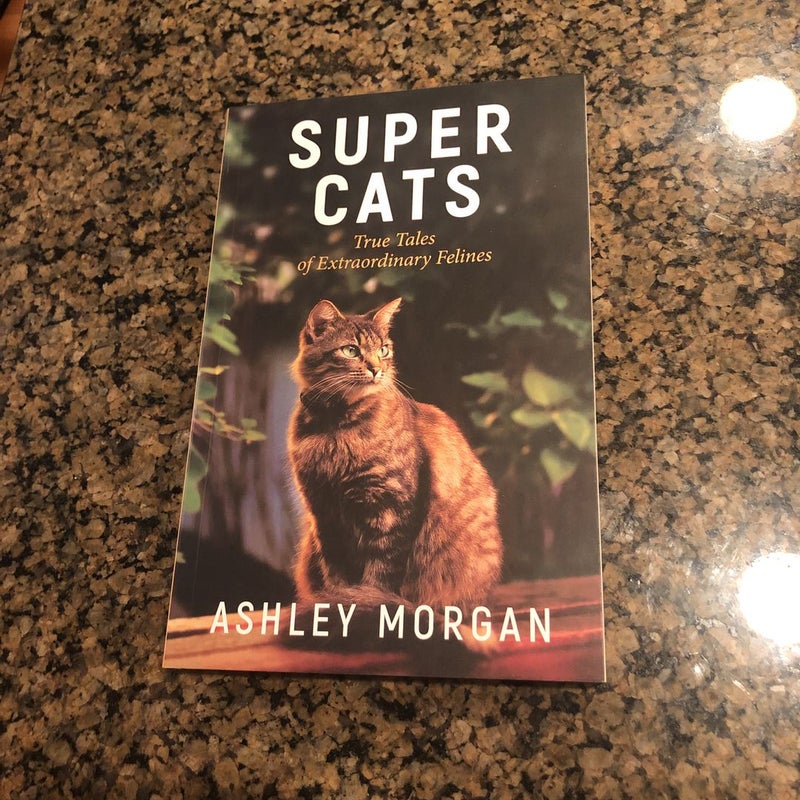 Super Cats