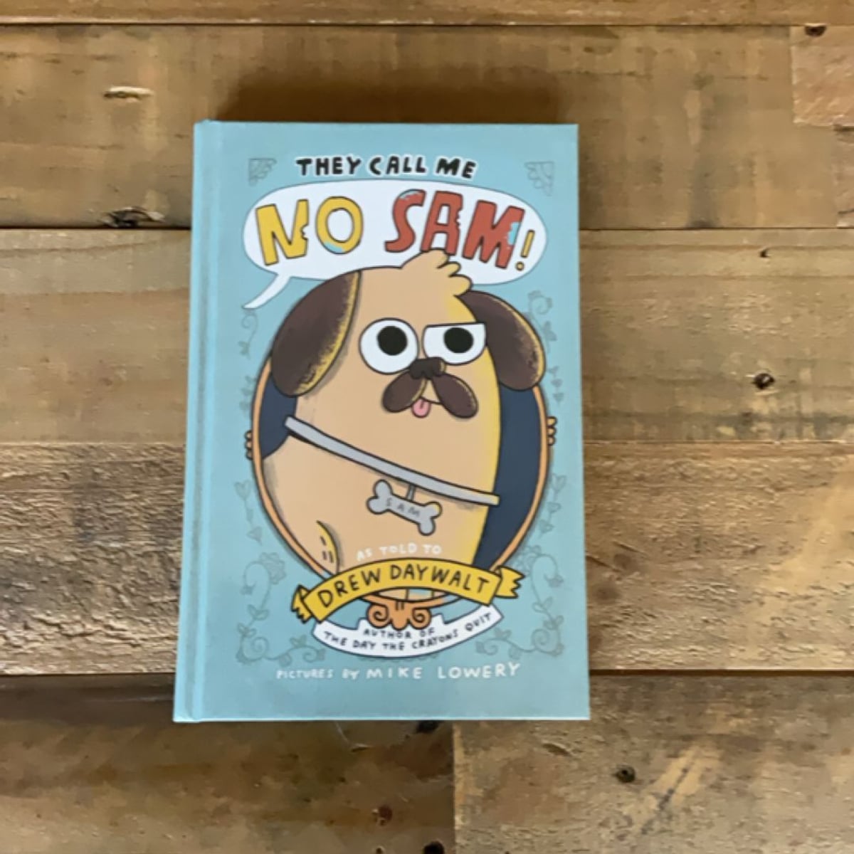 They Call Me No Sam! by Drew Daywalt