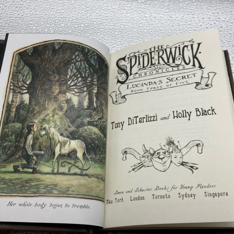 Lucinda's Secret
