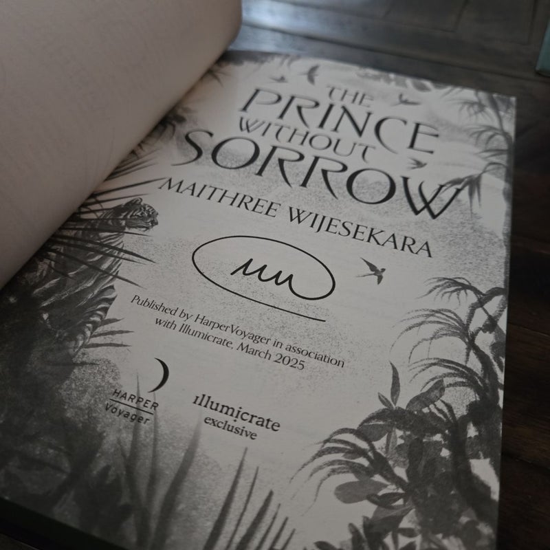 The Prince Without Sorrow