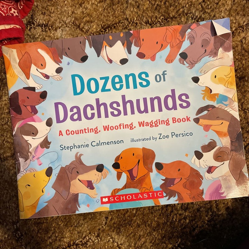 Dozens of Dachshunds 