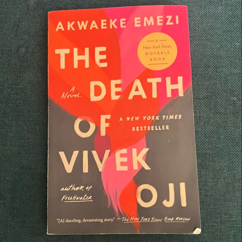 The Death of Vivek Oji