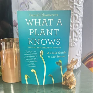 What a Plant Knows