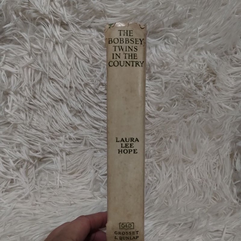 BUNDLE: The Bobbsey Twins 