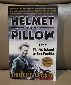 Helmet for My Pillow