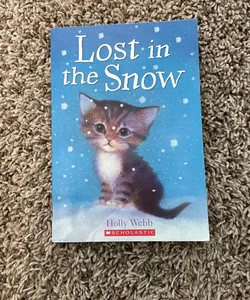Lost in the snow