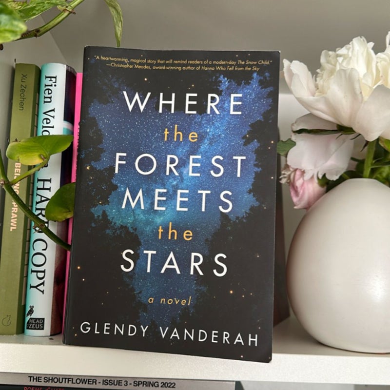 Where the Forest Meets the Stars
