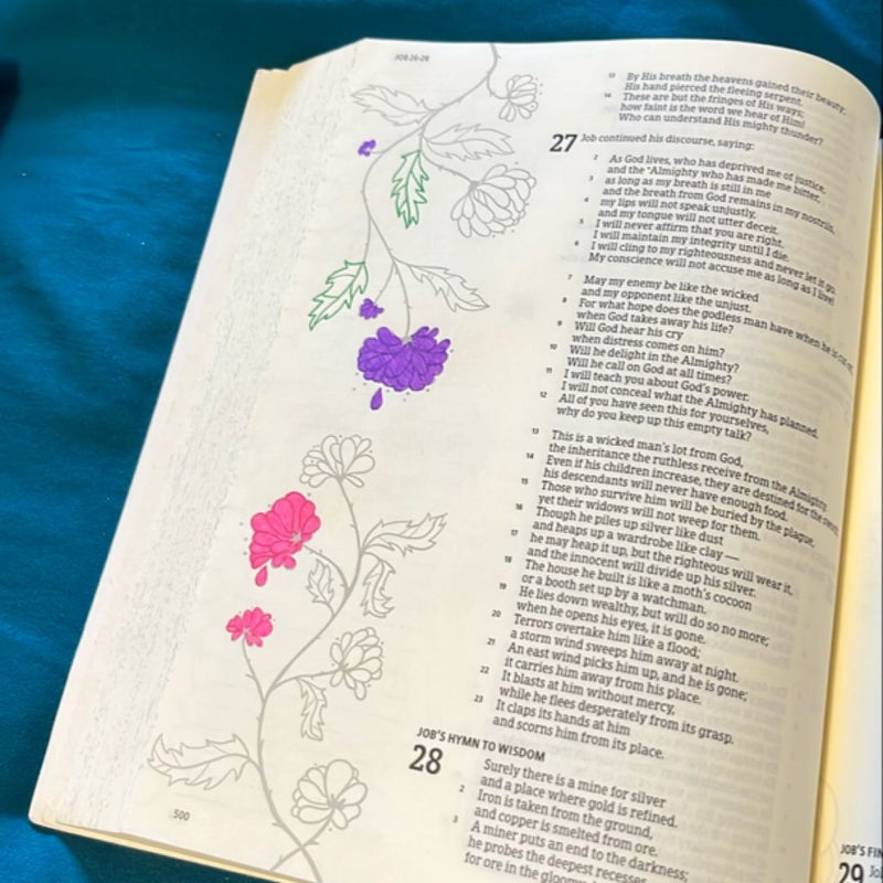 Illustrator's Notetaking Bible