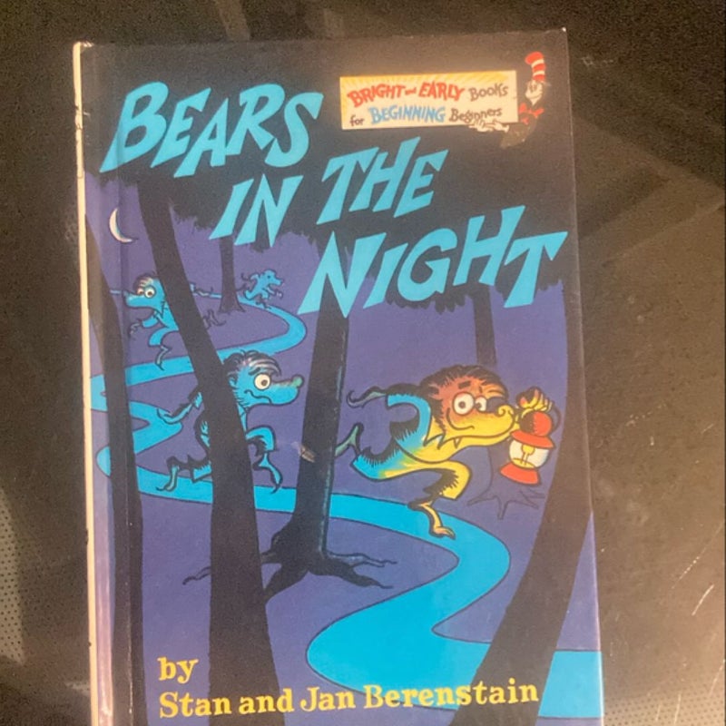 Bears in the night 