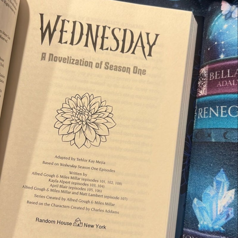 Wednesday: a Novelization of Season One