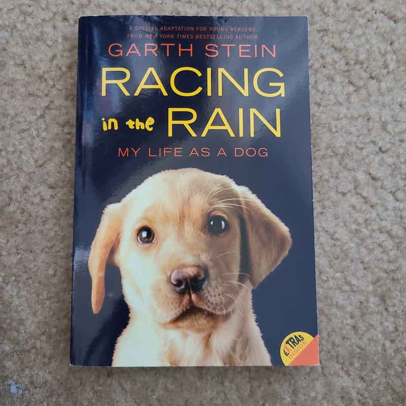Racing in the Rain