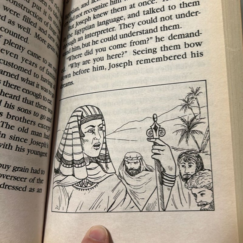 Illustrated Classics Bible Stories