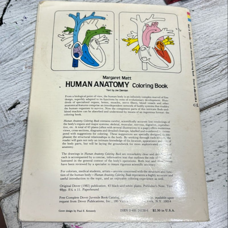 Human Anatomy