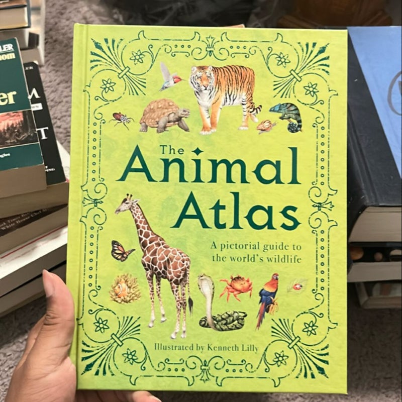 The animal atlas