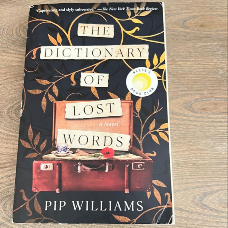 The Dictionary of Lost Words