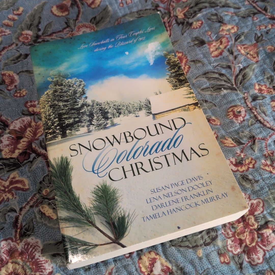 Snowbound Colorado Christmas