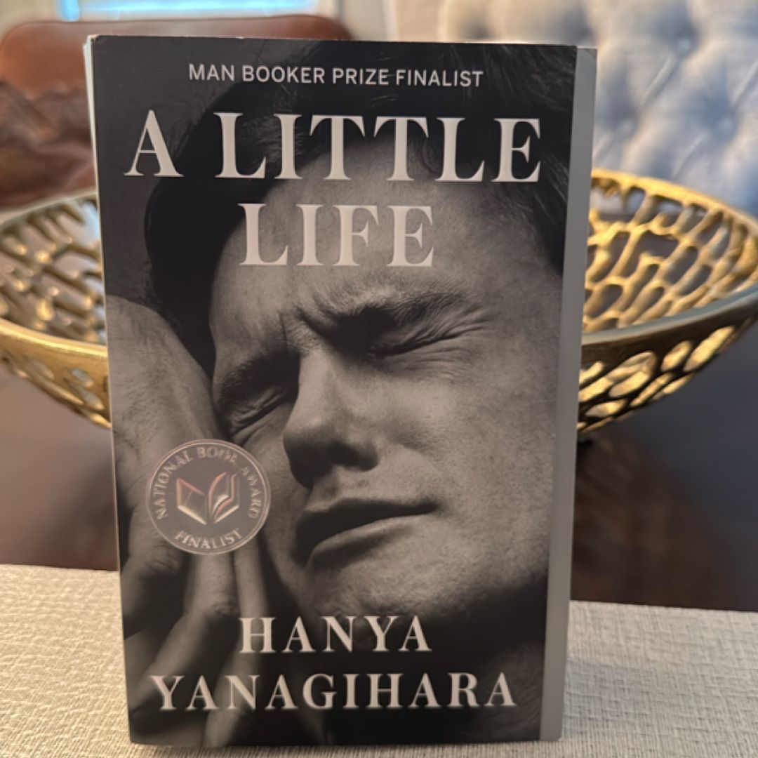 A Little Life