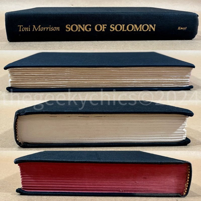 Song of Solomon