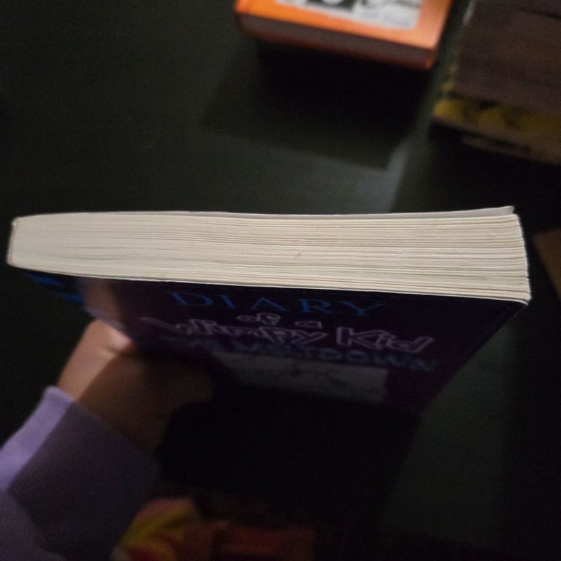 Diary of a Wimpy Kid: The Meltdown (book #13)