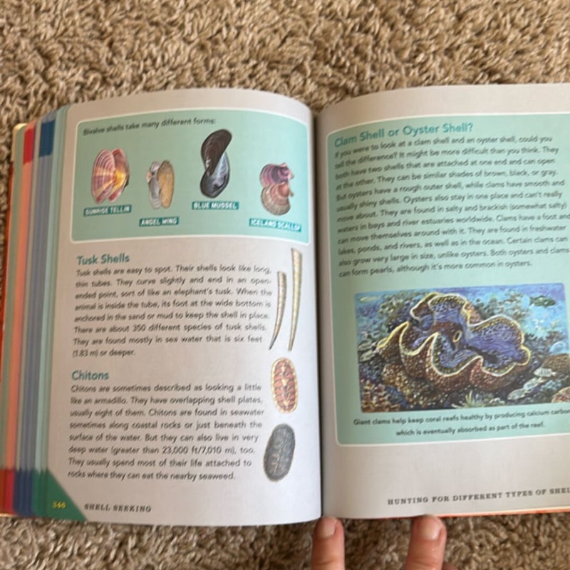 Outdoor School: Rock, Fossil, and Shell Hunting