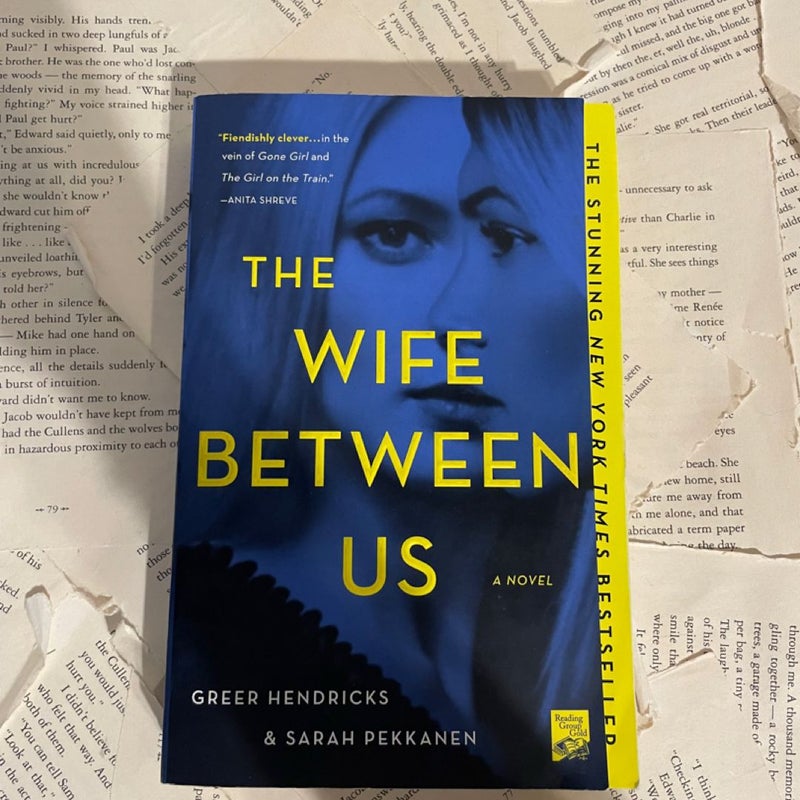 The Wife Between Us