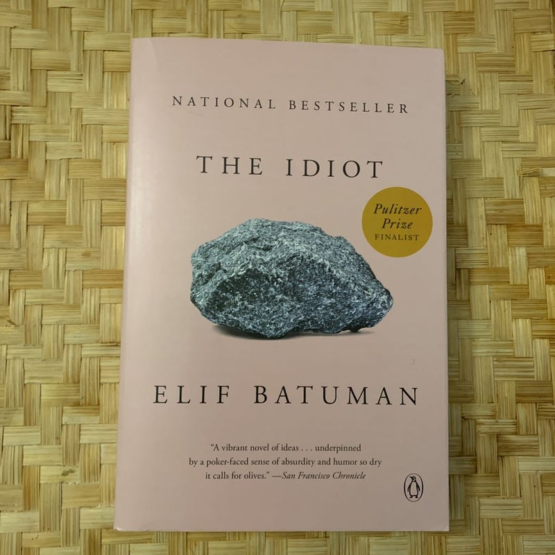 Elif Batuman, The Idiot 