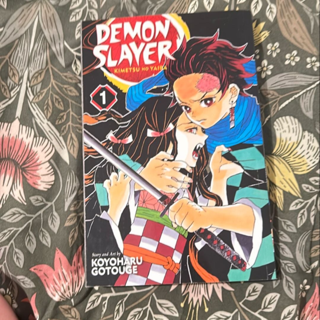 Demon Slayer: Kimetsu No Yaiba, Vol. 1