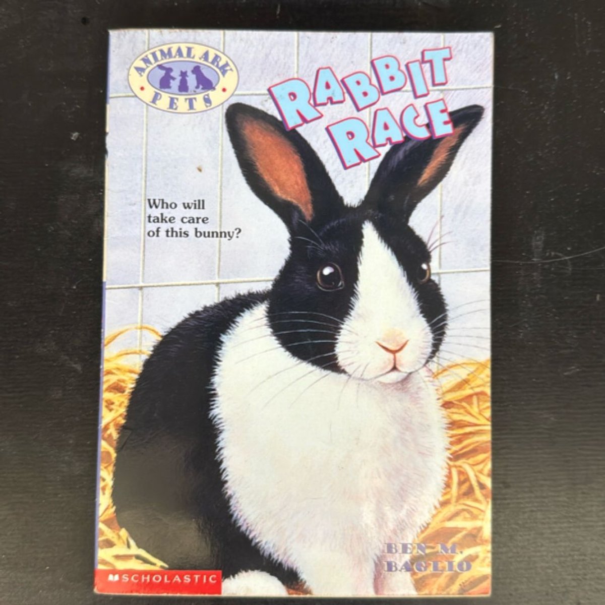 Rabbit Race by Lucy Daniels, Ben M. Baglio