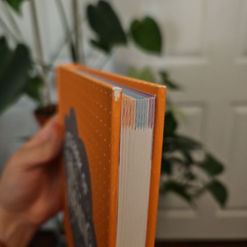 Little Book of Lettering