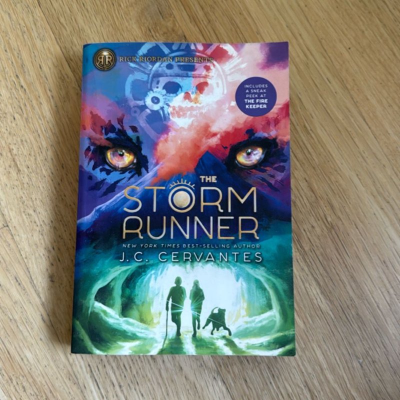 The Storm Runner
