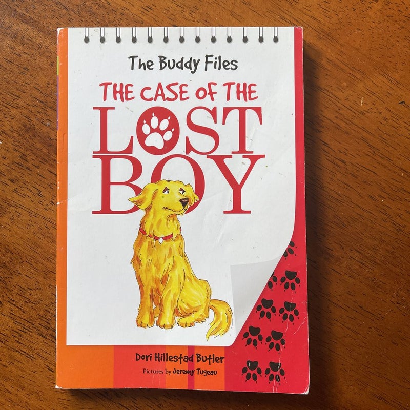 The Case of the Lost Boy