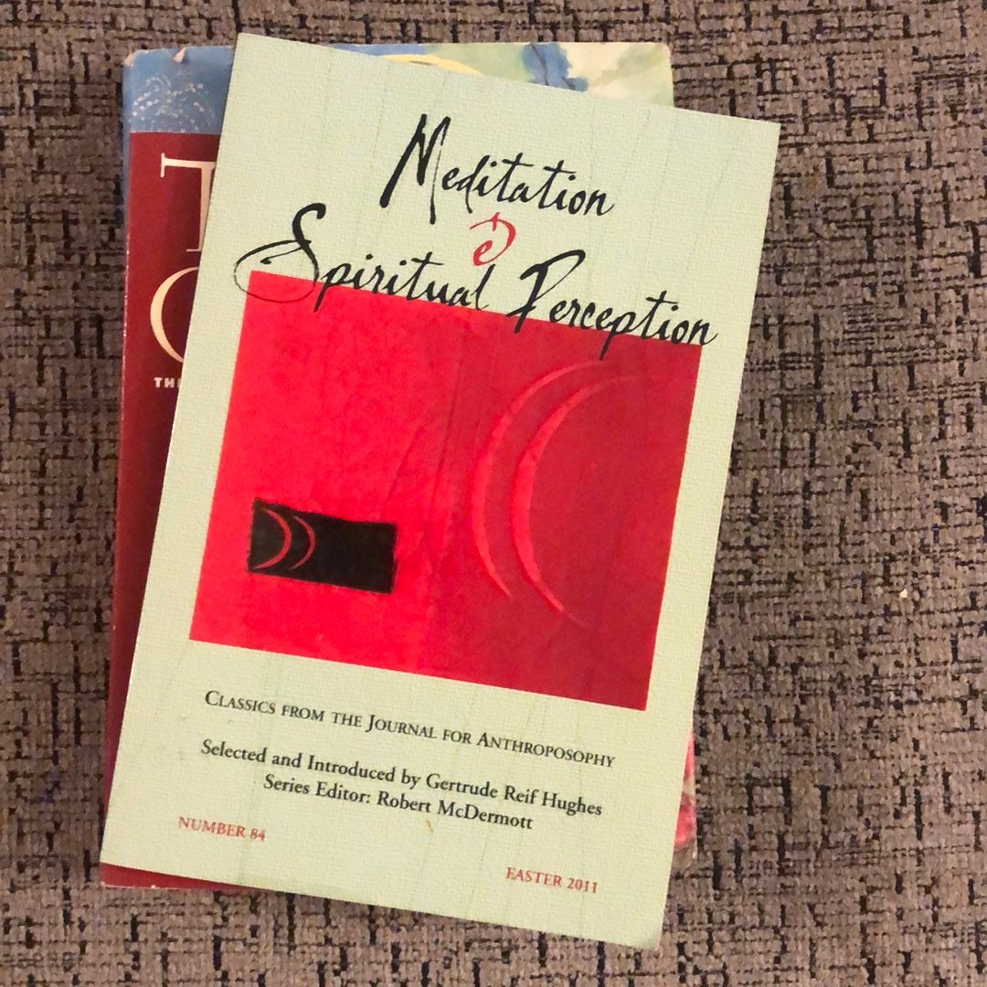 Meditation and Spiritual Perception