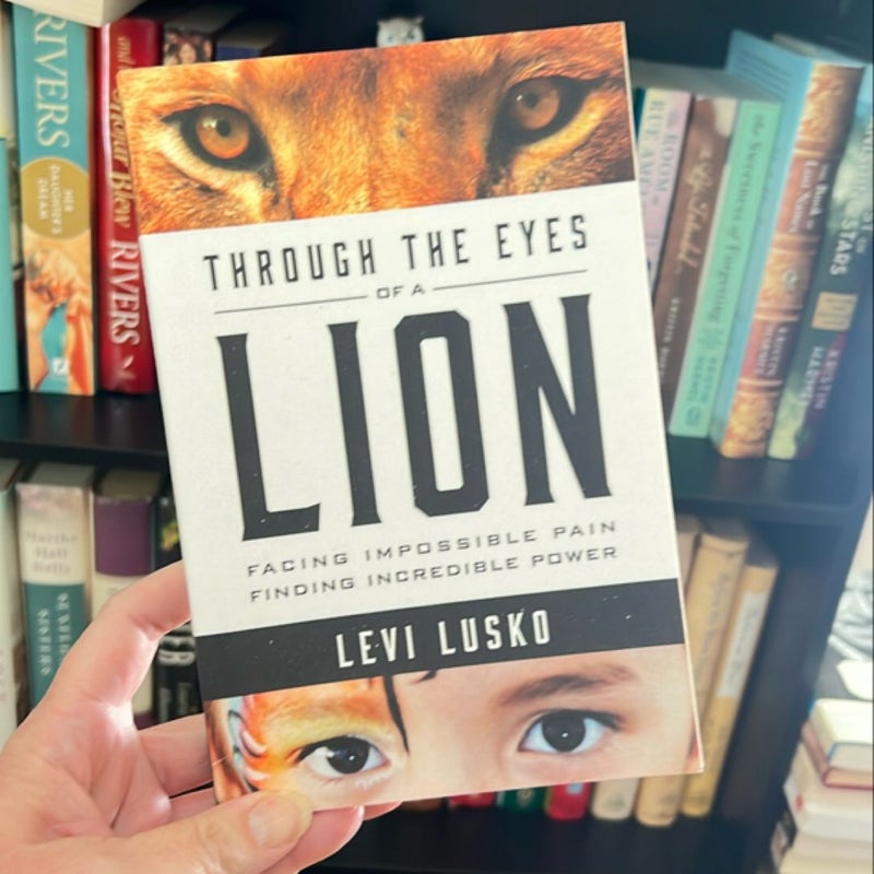 Through the Eyes of a Lion