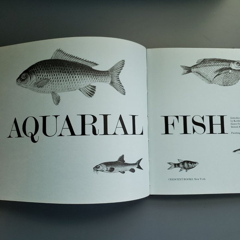 Aquarial Fish