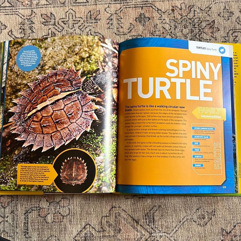 National Geographic ultimate reptile-opedia 