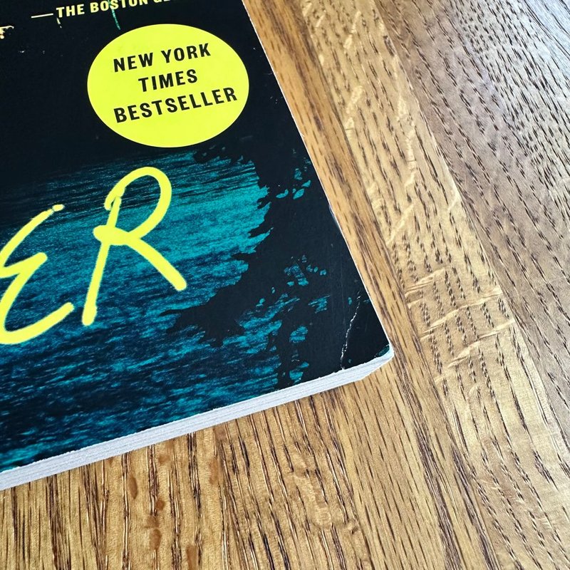 The House Across the Lake